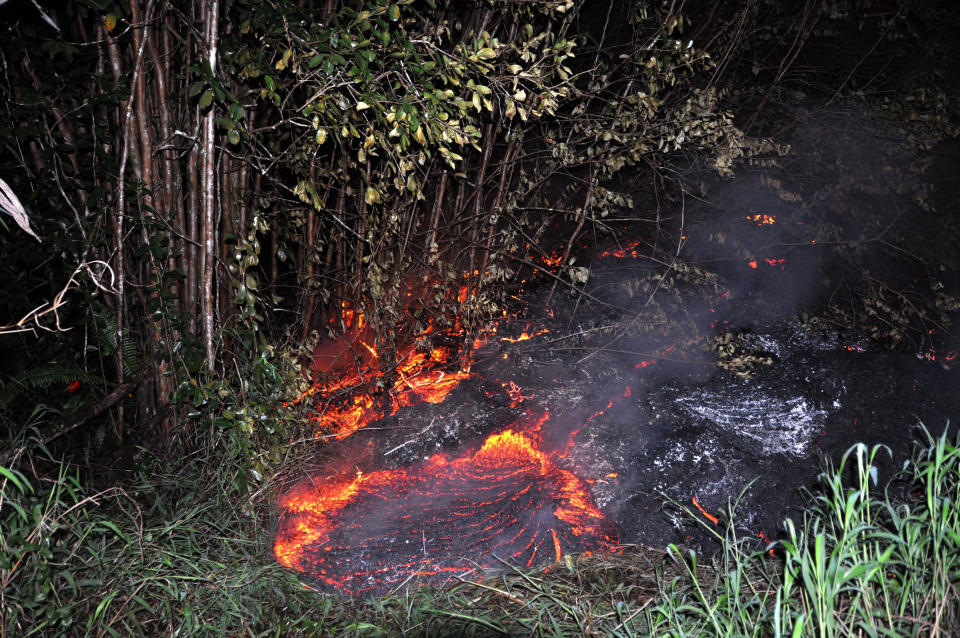 This Tuesday, Oct. 28, 2014 photo provided by the U.S. Geological Survey shows lava burning vegetation as it approaches a property boundary above the town of Pahoa on the Big Island of Hawaii. After weeks of slow, stop-and-go movement, a river of asphalt-black lava was less than the length of a football field from homes in the Big Island community Tuesday. The lava flow easily burned down an empty shed at about 7:30 a.m., several hours after entering a residential property in Pahoa Village, said Hawaii County Civil Defense Director Darryl Oliveira. A branch of the molten stream was less than 100 yards (90 meters) from a two-story house. It could hit the home later Tuesday if it continues on its current path, Oliveira estimated. Residents of Pahoa Village, the commercial center of the island's rural Puna district south of Hilo, have had weeks to prepare for what's been described as a slow-motion disaster. Most have either already left or are prepared to go. (AP Photo/U.S. Geological Survey)
