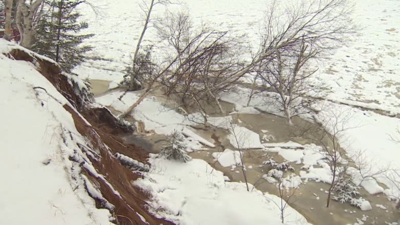 Mayor warns homes, infrastructure at risk as more river bank erodes in Deer Lake