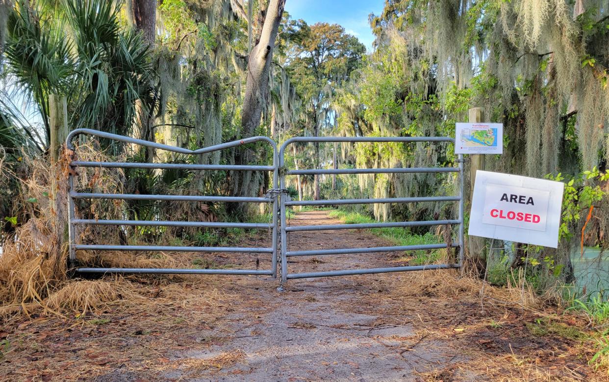 A gate blocks the Alligator Alley trail at Circle B Bar Reserve near Lake Hancock. Managers of the Polk County property closed a portion of the trail last week because of increased alligator activity, including trail crossings.
