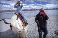 A Chinese tourist gets ready to pose for a photo atop a white yak being led by a Tibetan man in Namtso in western China's Tibet Autonomous Region, Wednesday, June 2, 2021. Tourism is booming in Tibet as more Chinese travel in-country because of the coronavirus pandemic, posing risks to the region's fragile environment and historic sites. (AP Photo/Mark Schiefelbein)