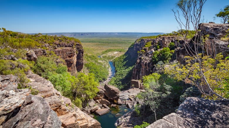 Shrubby cliff overlooking Kakadu National Park