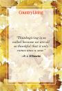 <p>"Thanksgiving is so called because we are all so thankful that it only comes once a year."</p>