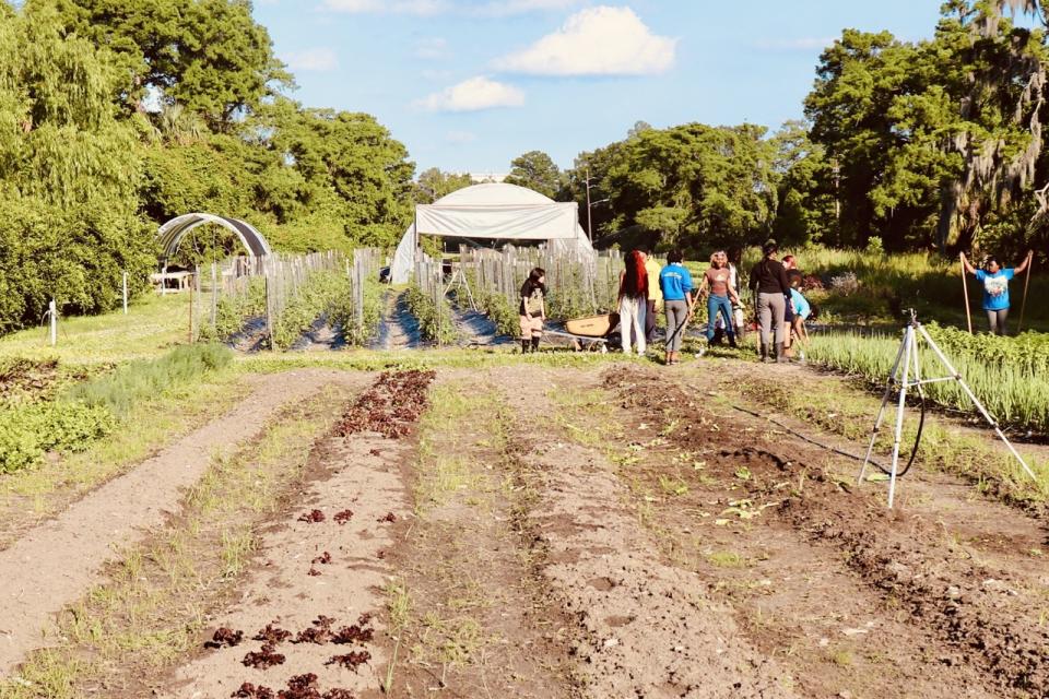 Over the past 13 years, youth at Grow Dat Farm have grown approximately 450,000 pounds of produce for sale and donation across Louisiana. (Adam Mahoney/Capital B)