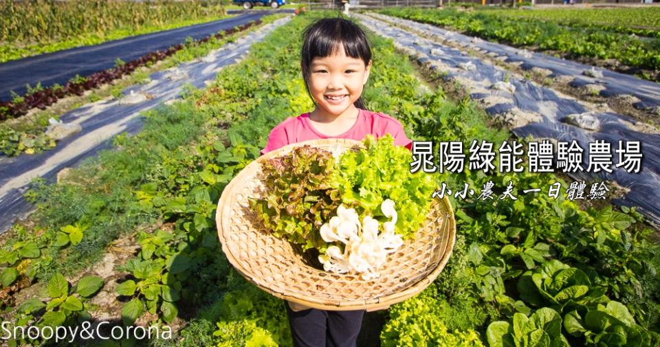 雲林晁陽綠能體驗農場