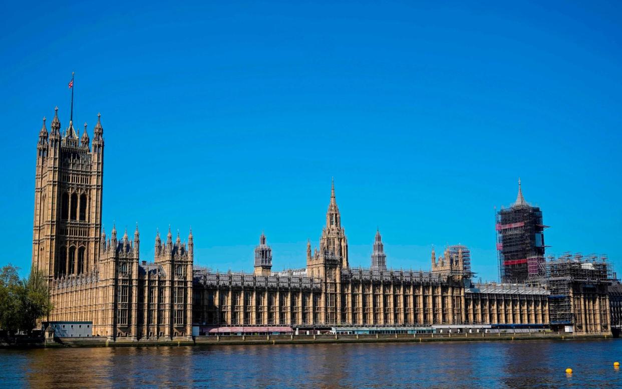 palace of westminster -  NIKLAS HALLE'N/AFP