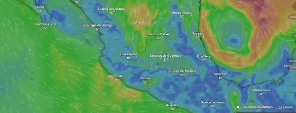 Mapa Trayectoria Alberto