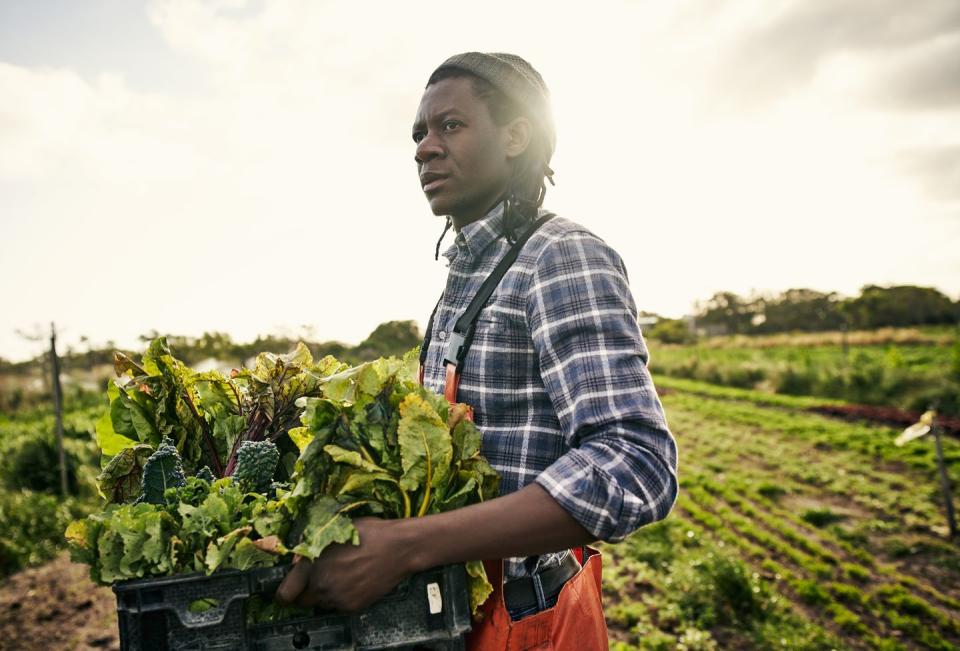 6) Support Black-operated food justice initiatives.