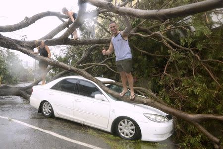 Tourists climb on a tree that was uprooted due to winds from Tropical Cyclone Marcus and landed on a car in the Northen Territory capital city of Darwin in Australia, March 17, 2018. AAP/Glenn Campbell/via REUTERS