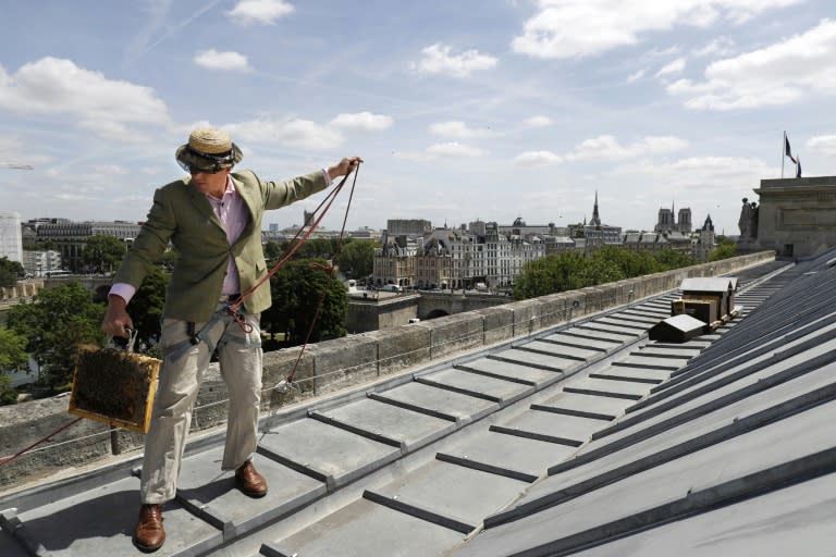 Audric de Campeau is a French urban beekeeper, and his beehives sit atop monuments and office buildings and on rooftop terraces in the French capital