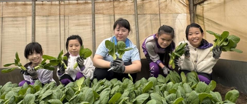 《圖說》林口青農林芷誼與新林國小合作辦理食農教育，帶領小朋友們從種植開始，體驗蔬菜的生長過程。〈農業局提供〉