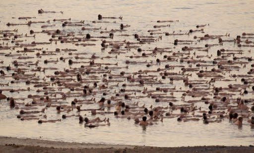 More than 1,000 floating nude Israelis pose for US art photographer Spencer Tunick's first Middle East mass shoot on September 17 in the Dead Sea, the lowest spot on earth which experts warn could dry out by 2050 unless urgent steps are taken to halt its demise