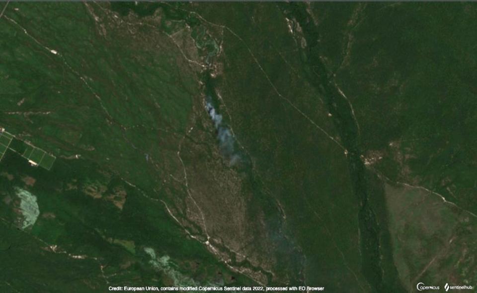 Smoke can be seen rising near Basto Fireline Road in Wharton State Forest at approximately 11 a.m. on June 19.