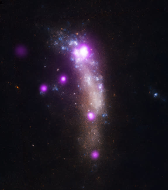 A composite image of the supernova SN 2010jl within its galaxy shows X-ray observations from the Chandra X-ray Observatory (in purple) and optical data from the Hubble Space Telescope. SN 2010jl appears as the bright purple spot at the top of t