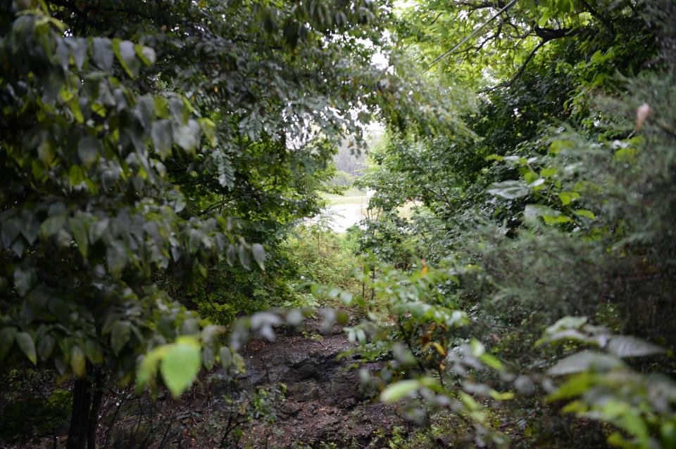 Attempting to peek past the dead end reveals next to nothing, as decades of vegetation growth have separated the two sides of Uniontown.