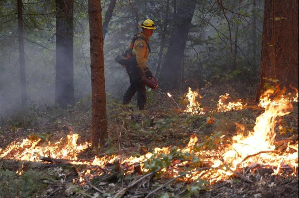 A firefighter sets a backfire on the Park Fire on Sunday. The fire in northern California has grown to 373,357 acres, making it the sixth-largest ever wildfire in the state. It is only 12% contained. Photo by John G. Mabanglo/EPA-EFE