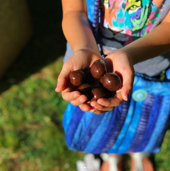 Hawaii - Macadamia Nuts