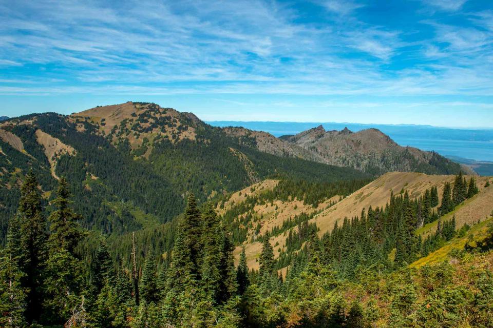 <p>Wolfgang Kaehler/LightRocket via Getty</p> Olympic National Park in Washington State, USA. 