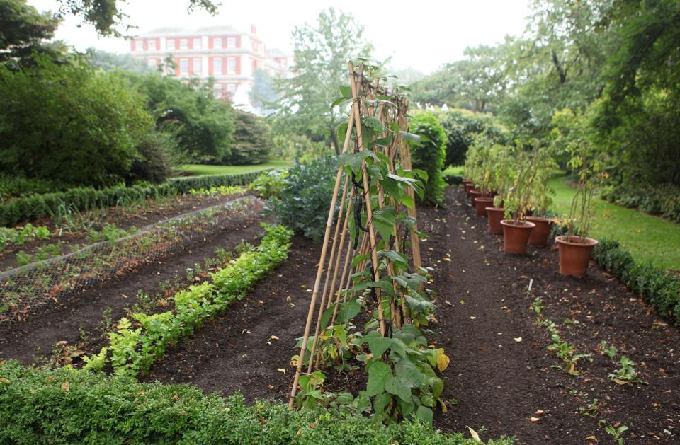 The Clarence House vegetable garden in 2010.