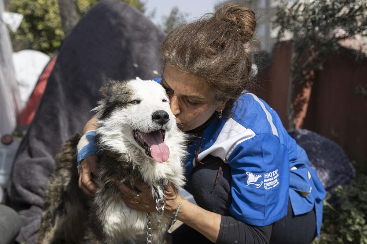 Dog Rescued After Surviving 22 Days Stuck in Rubble Left Behind by Turkey’s Deadly Earthquakes