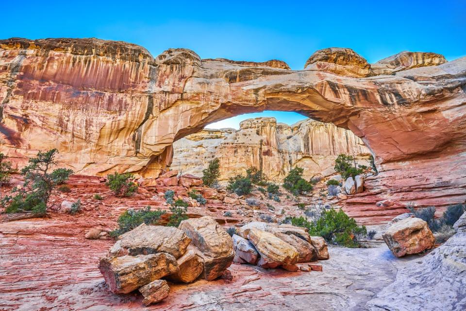 <p><a href="https://www.nps.gov/care/index.htm" rel="nofollow noopener" target="_blank" data-ylk="slk:Capitol Reef;elm:context_link;itc:0;sec:content-canvas" class="link ">Capitol Reef</a> is in the unique Waterpocket Fold, a 100-mile-long wrinkle in the Earth’s surface that contains grand canyons, rock domes, and towering cliffs. It has also been named an International Dark Sky Park, meaning you’ll get a clear view of the night skies and a chance at seeing one of the park’s many nocturnal creatures, such as mountain lions and coyotes.<br></p>