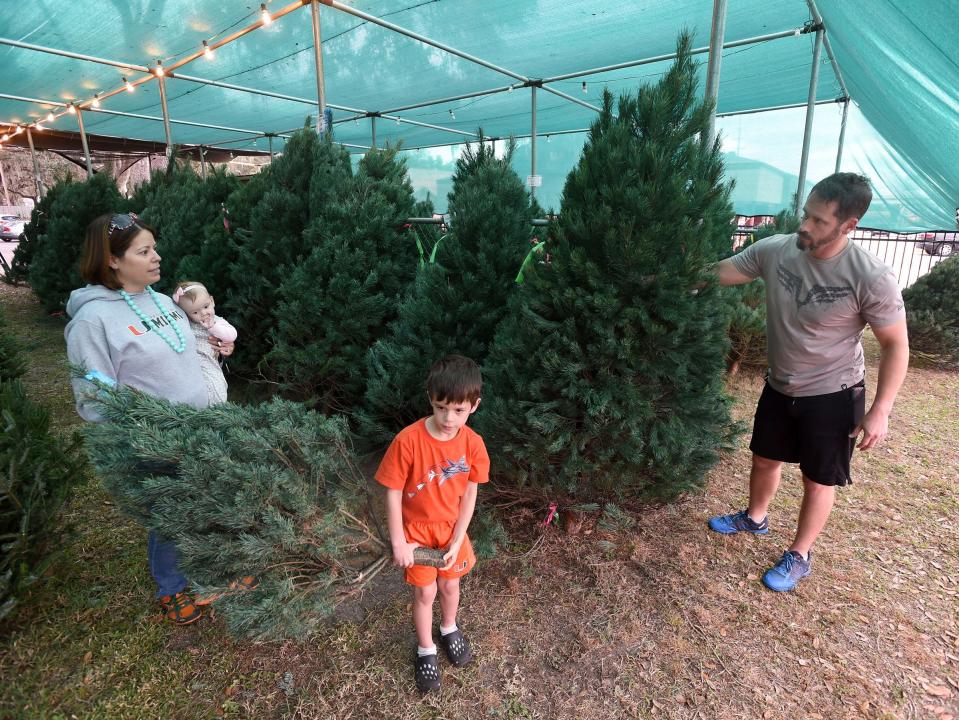 Ali and Cory Chastang pick out a Chirstmas Tree for their house with their children, Benjamin,5, and Kathryn, 5 mnths., at the United Methodist Temple Men's Club Christmas Tree ministry in Lakeland, Fl in 2017. There are less sellers and trees this year in Polk County as a result of a tree shortage set to persist for years to come.