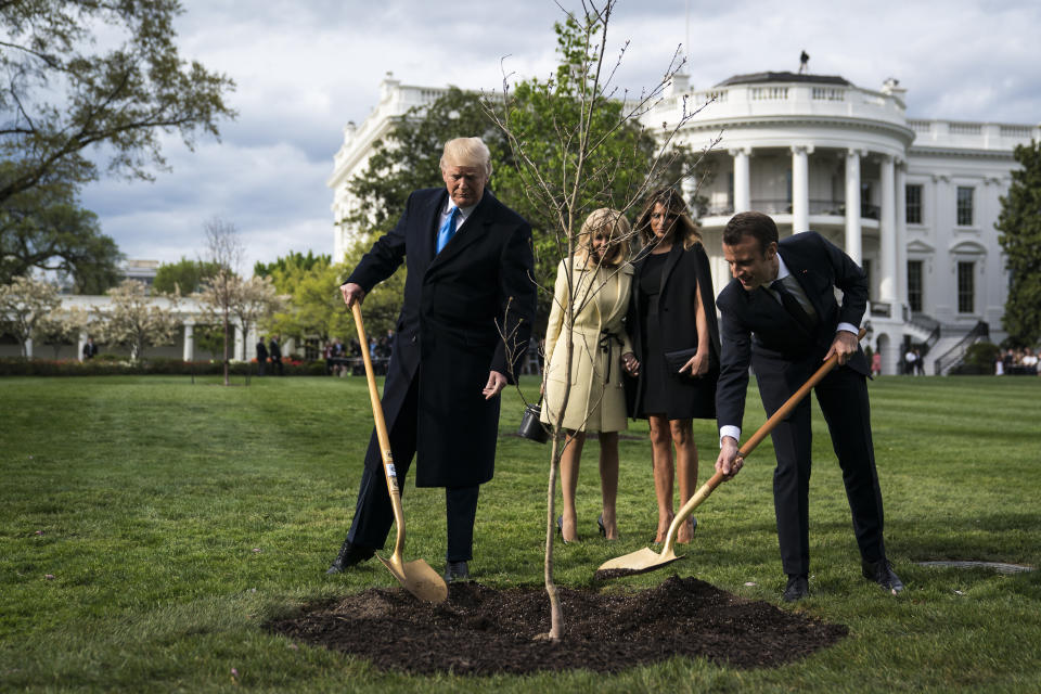 President Donald Trump and French President Emmanuel Macron planted a tree as first ladies Melania Trump and Brigitte Macron looked on in April 2018. The tree has since died. (Photo: The Washington Post via Getty Images)