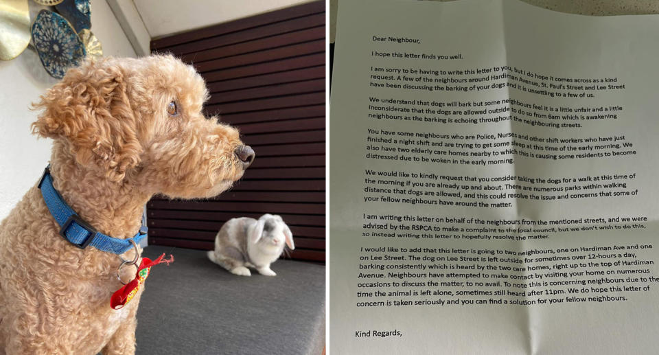 A photo of Jasper and a photo of the letter the Sydney woman received.