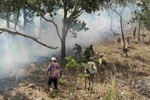 pobladores y autoridades de guerrero combaten los incendios provocados con drones por grupos del crimen organizado