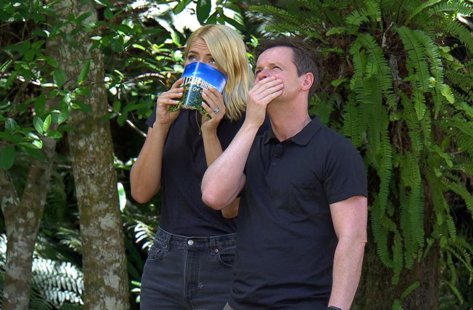 Holly Willoughby und Declan Donnelly sind die Moderatoren der britischen Dschungelcamp-Ausgabe. (Bild: TV/REX/Shutterstock)