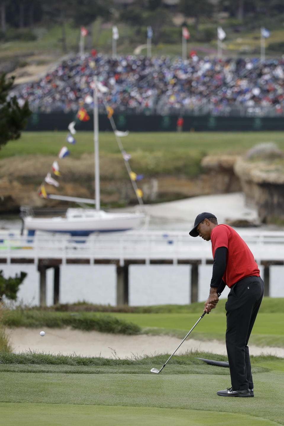 Tiger Woods hits a chip shot on the fourth hole during the final round of the U.S. Open Championship golf tournament Sunday, June 16, 2019, in Pebble Beach, Calif. (AP Photo/Marcio Jose Sanchez)