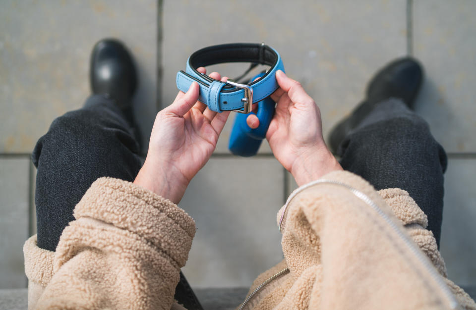 Grieving dog owner holding the lovely pet collar