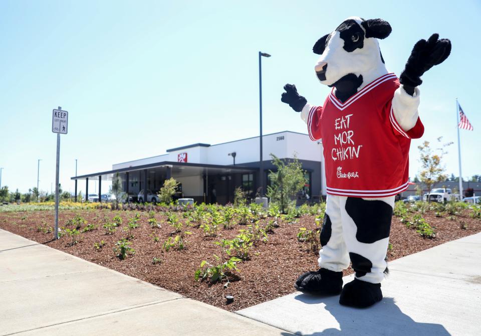 The Chick-fil-A cow waves to customers during opening day for the new Salem location on Thursday, June 22, 2023.