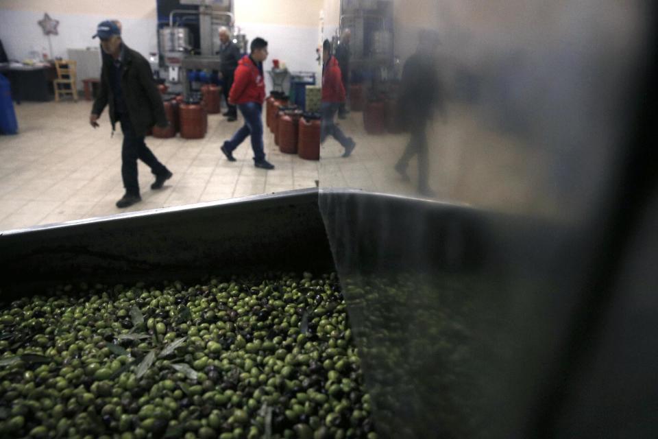 Konstatinos Vasilopoulos walks in front a machine used to wash olives at his family-owned olive oil business in Velanidi village, 320 kilometers (200 miles) west of Athens, Greece on Saturday, Nov. 30, 2013. Greece remains the highest consumer of olive oil per capita in the world despite the country's ongoing financial crisis. (AP Photo/Petros Giannakouris)