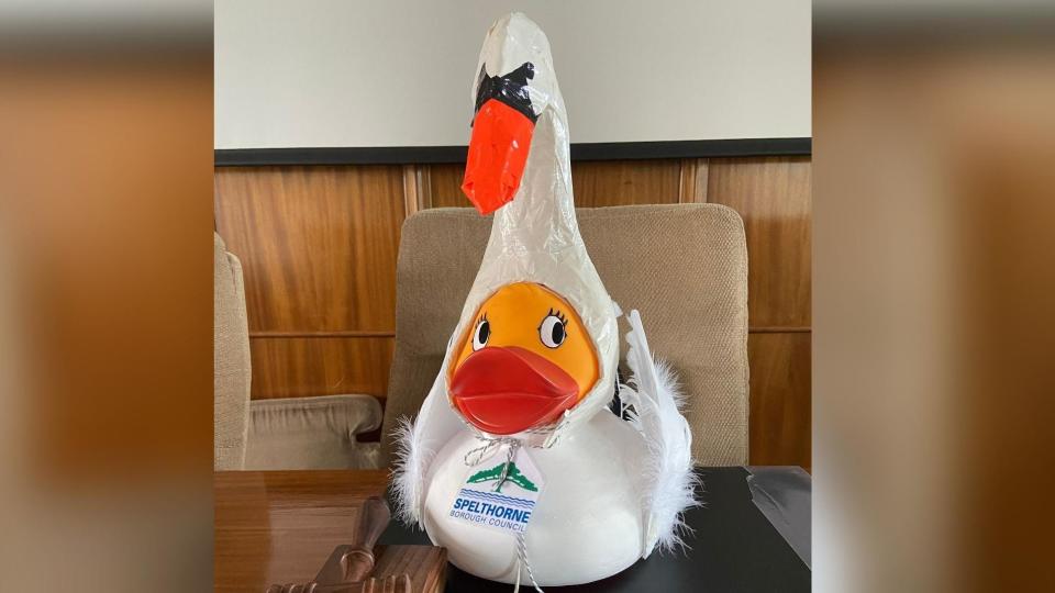 A large rubber duck with a swan head on top and white fluffy wings