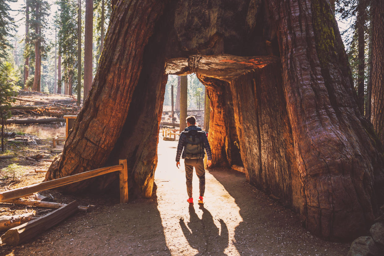 You can explore from the comfort of your own home. (Getty Images)