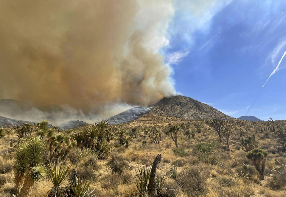In this photo provided by the National Park Service Mojave National Preserve, smoke billows on the north end from the York fire in Mojave National Preserve on Saturday, July 29, 2023. A massive wildfire burning out of control in California's Mojave National Preserve is spreading rapidly amid erratic winds. Meanwhile, firefighters reported some progress Sunday against another major blaze to the southwest that prompted evacuations. (Park Ranger R. Almendinger/ InciWeb /National Park Service Mojave National Preserve via AP)