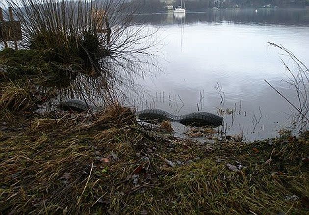 A cut-up 'four-humped' tyre by Lake Windermere