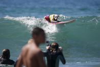 A dog surfs during the Surf City Surf Dog Contest in Huntington Beach, California September 73, 2015. REUTERS/Lucy Nicholson