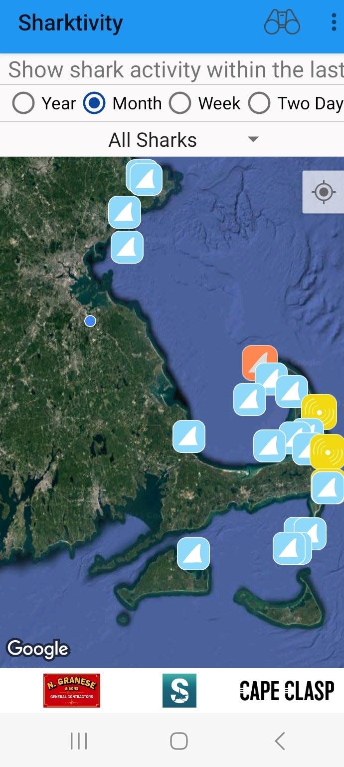 The Sharktivity app allows users to both see as well as report shark sightings.