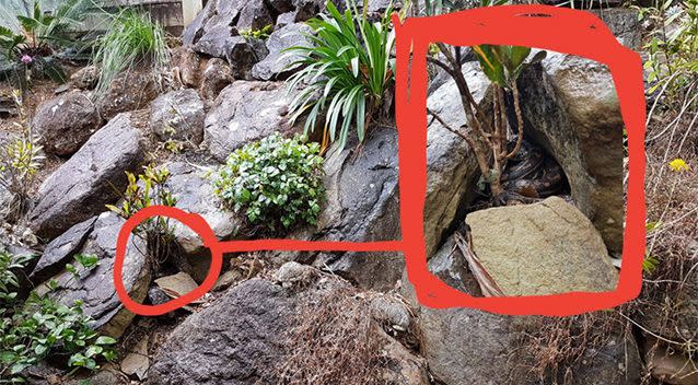 Stu posted this photo as the answer, zooming in on the area where the snake is hiding. Source: Facebook