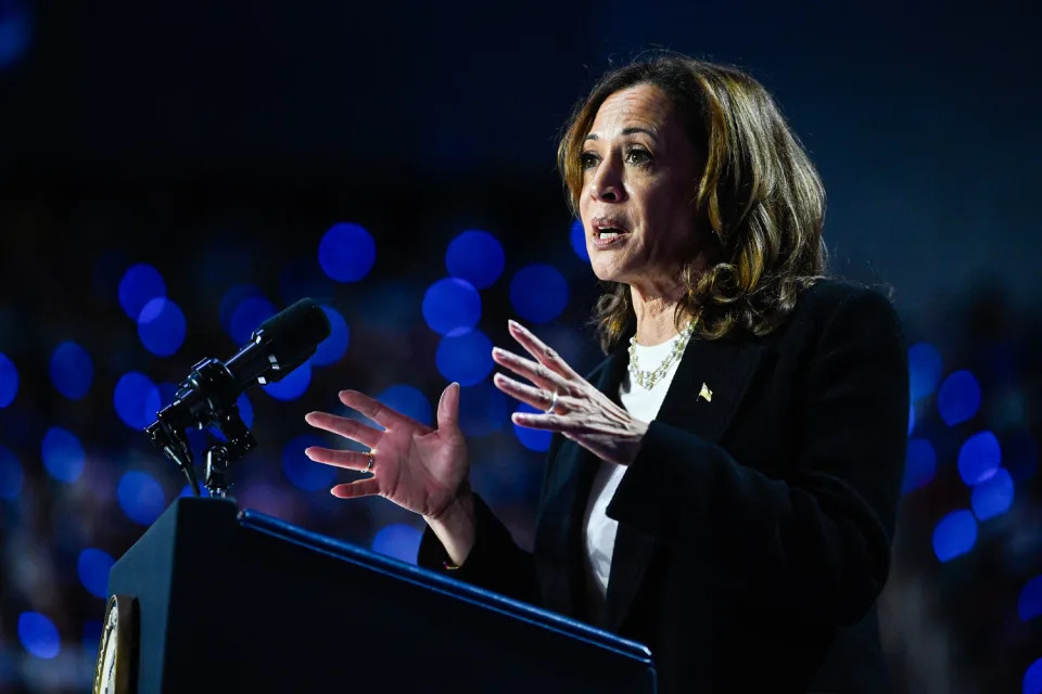 Kamala Harris speaks on stage (Peter Zay / Anadolu via Getty Images)