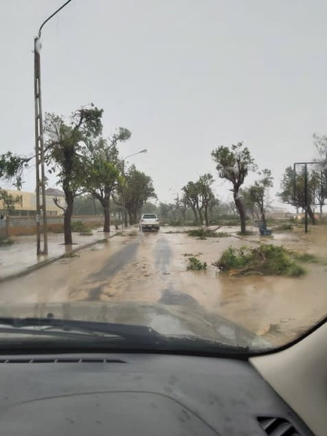 A view of fallen tree branches on a muddy street after cyclone Eloise in Beira