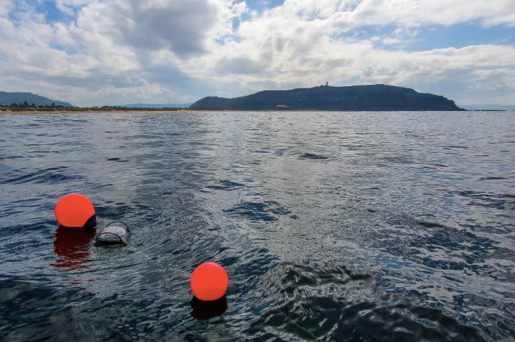 Buoys showing the placement of the shark nets off Sydney's Palm Beach. Source: Humane Society International Australia