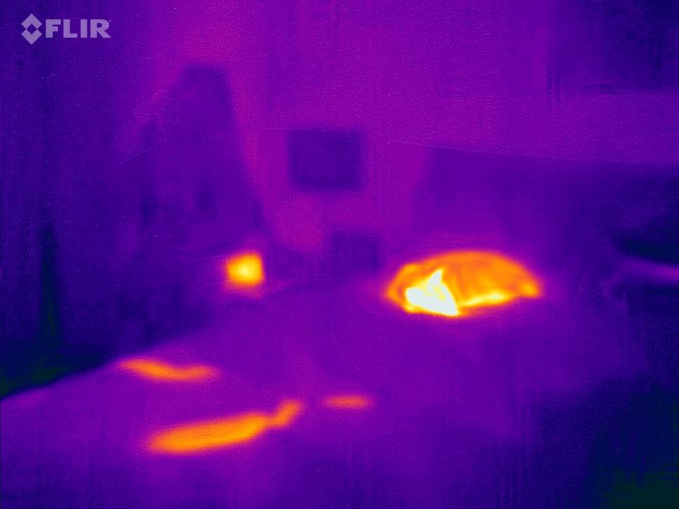 Flir Thermal Camera Showing Cold and Hot Spots