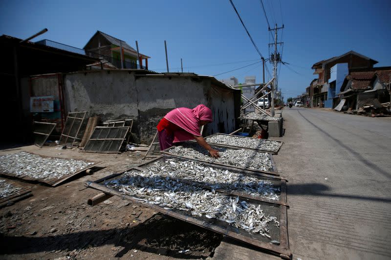 A woman arranges dried fish at Tambaklorok, a village affected by land subsidence and rising sea level, in Semarang