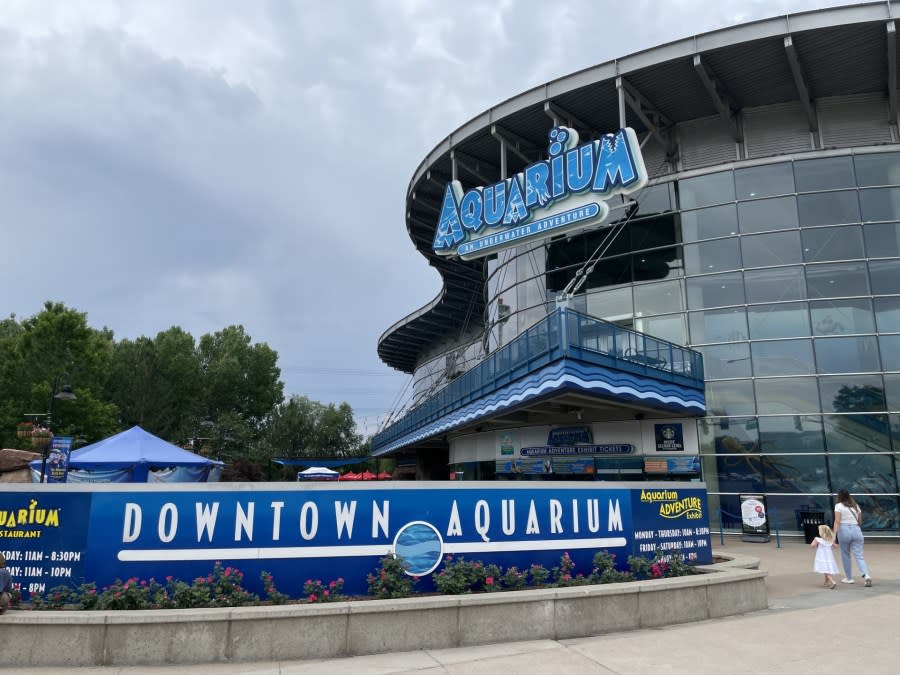 The Downtown Aquarium in Denver on July 17, 2024.