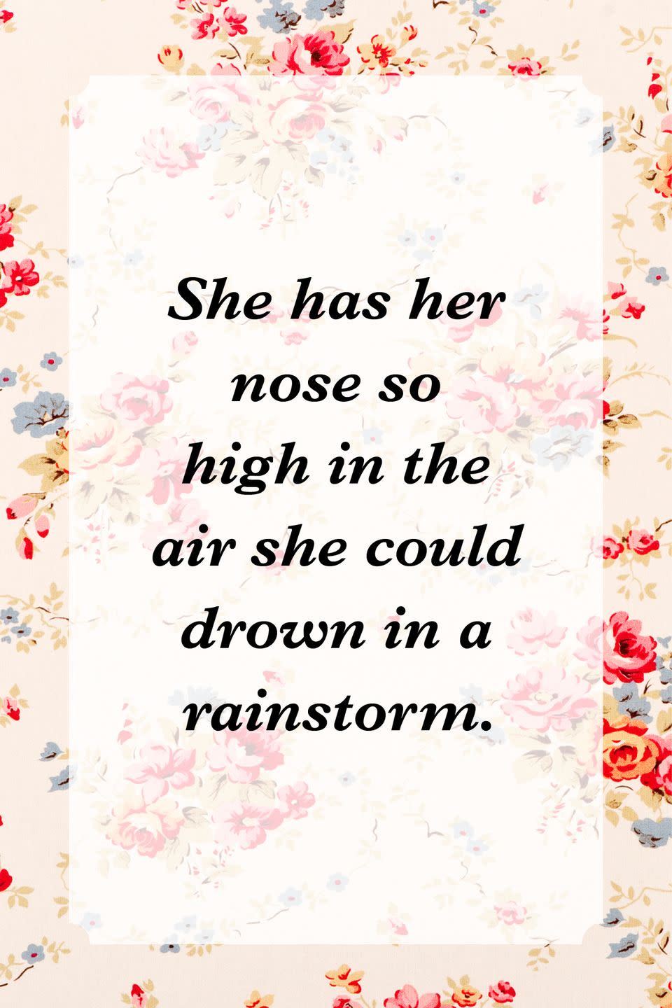 <p>"She has her nose so high in the air she could drown in a rainstorm."</p>