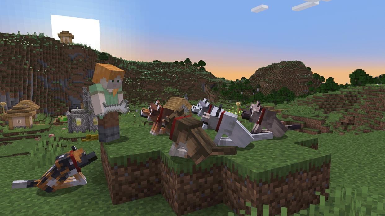  Screenshot of the new wolf variants in Minecraft 1.21. 