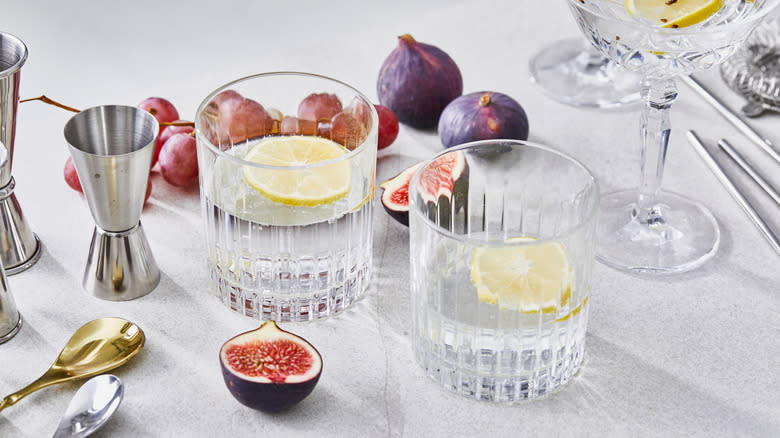neat gin in rocks glasses with fruits