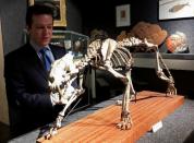 Piguet, director of Piguet Auction House stands beside the skeleton of a saber-toothed tiger hoplophoneus primaveus in Geneva